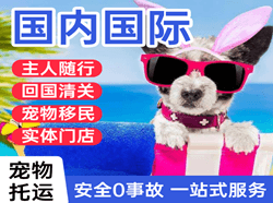 安顺黄果树航空物流国际宠物托运 【国